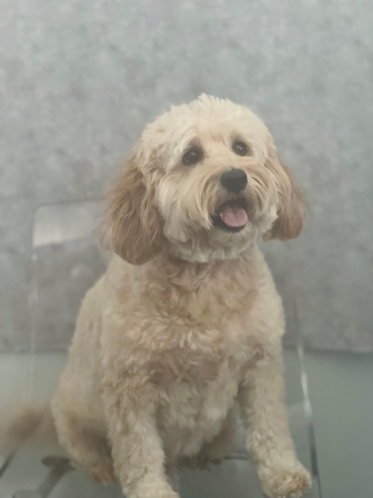 About Distinctive Properties